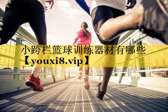 小跨栏篮球训练器材有哪些